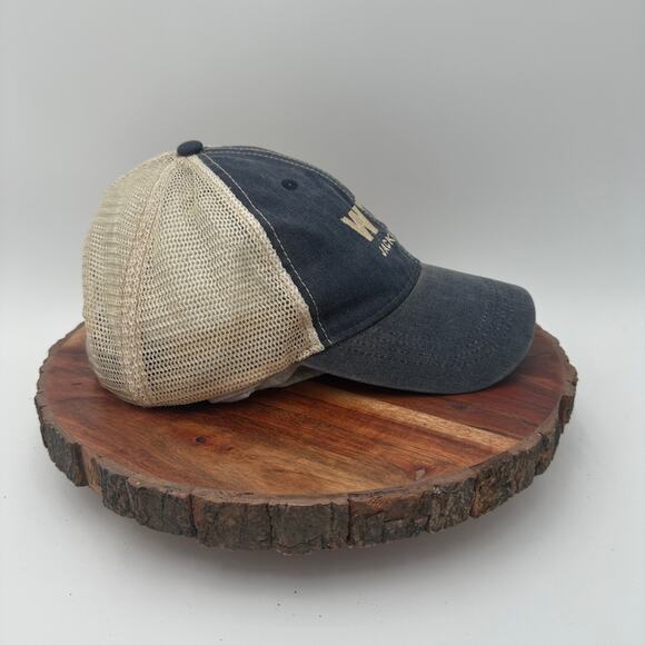 Jackson Hole Wyoming Trucker Baseball Strap Hat Gray Mesh One Size Teton VGUC - Picture 2 of 5